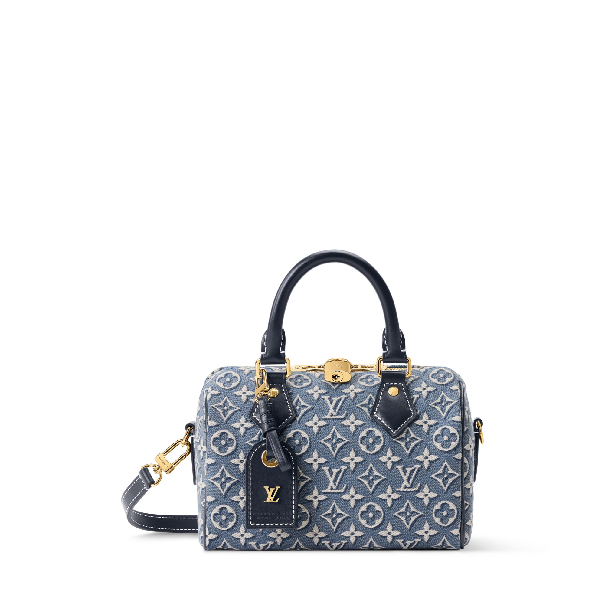 louis-vuitton-speedy-